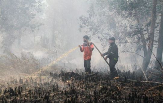 Indonesia Tetapkan 89 Tersangka Kasus Kebakaran Hutan dan Lahan